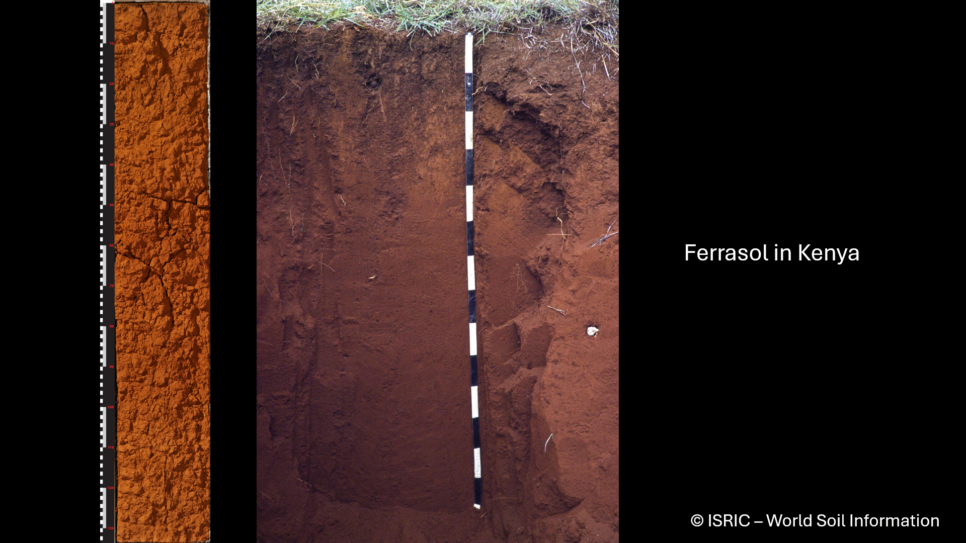 Animated GIF of soil monoliths and soil pits