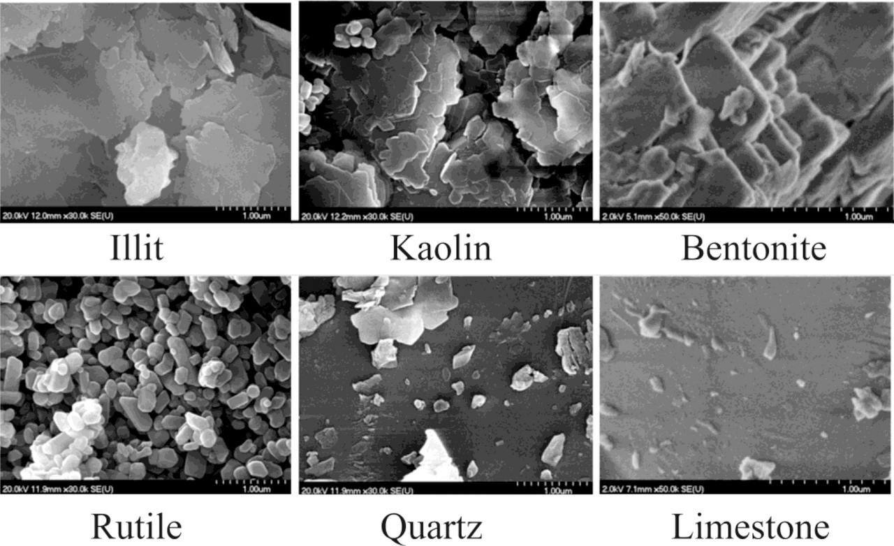 SEM images of clay minerals